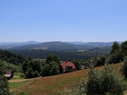 Półkolonie letnie 2025